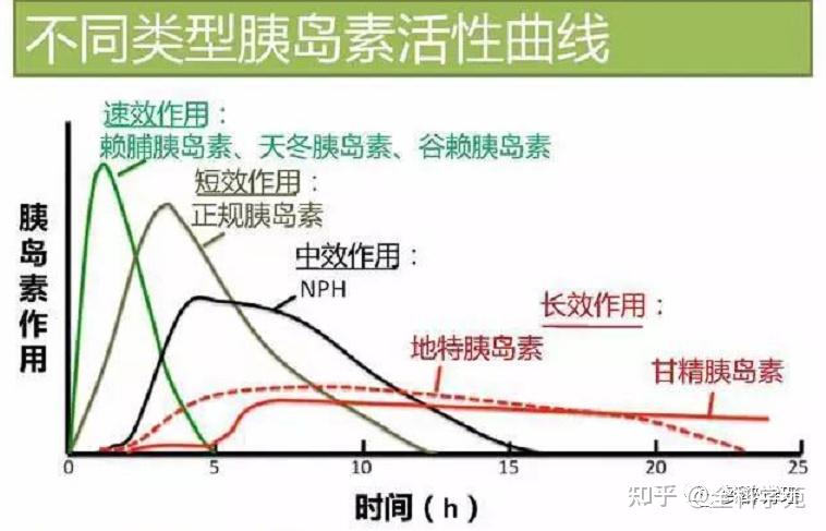 糖尿病-血糖调节过程一胰岛素和胰高血糖素的拮抗作用 - 知乎