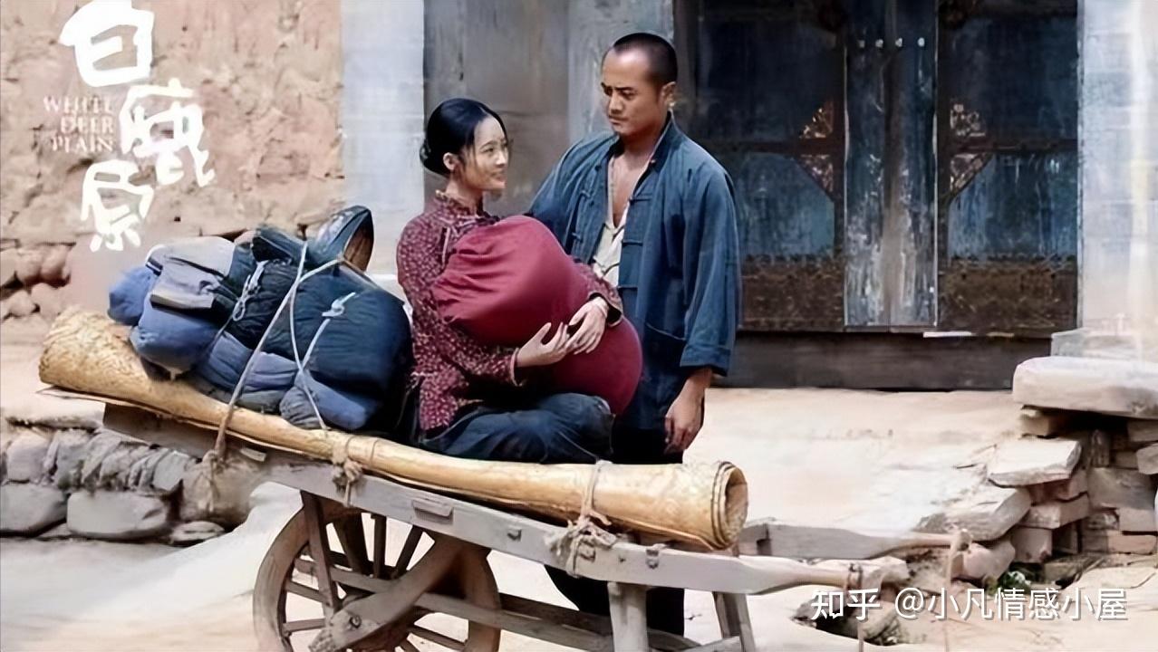白鹿原原著难怪田小娥临死前不揭发鹿子霖你看她发现了啥