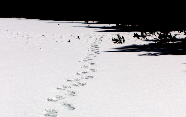 v2-d6e024545086e37e55ac8e317162e5bc_1440w.jpg?source=172ae18b