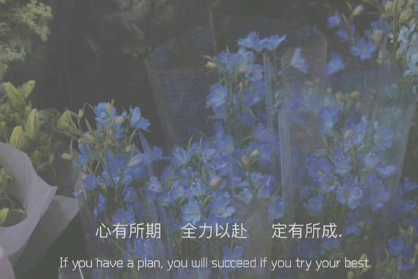 微信朋友圈神仙文案 - 知乎