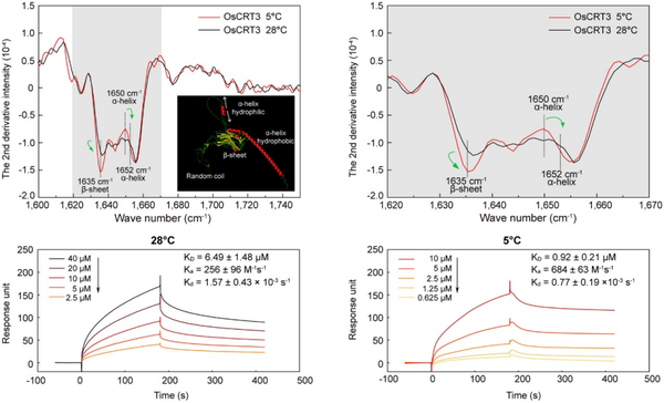精选干货丨光学表面等离子共振仪SPR技术应用合集来了 - 知乎