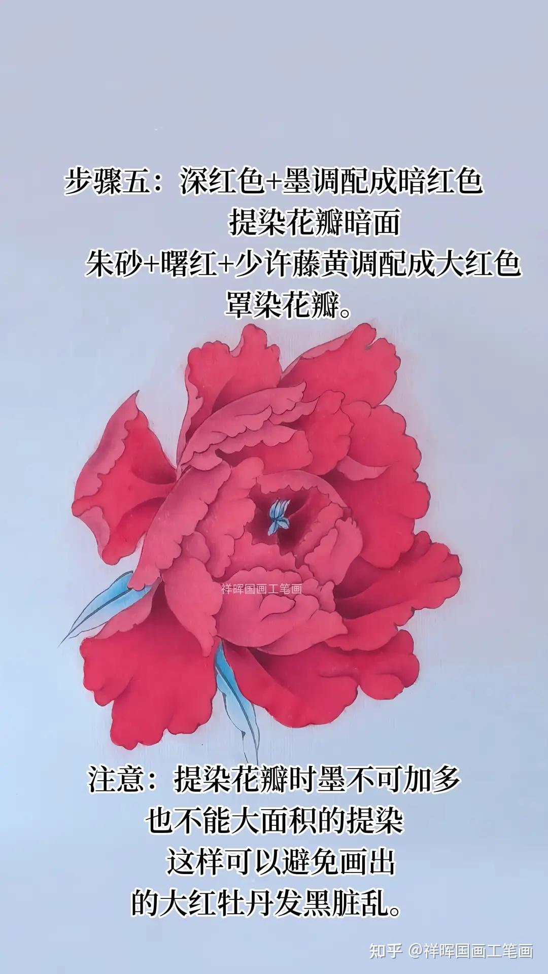 只需六步教你画工笔大红色牡丹花- 知乎