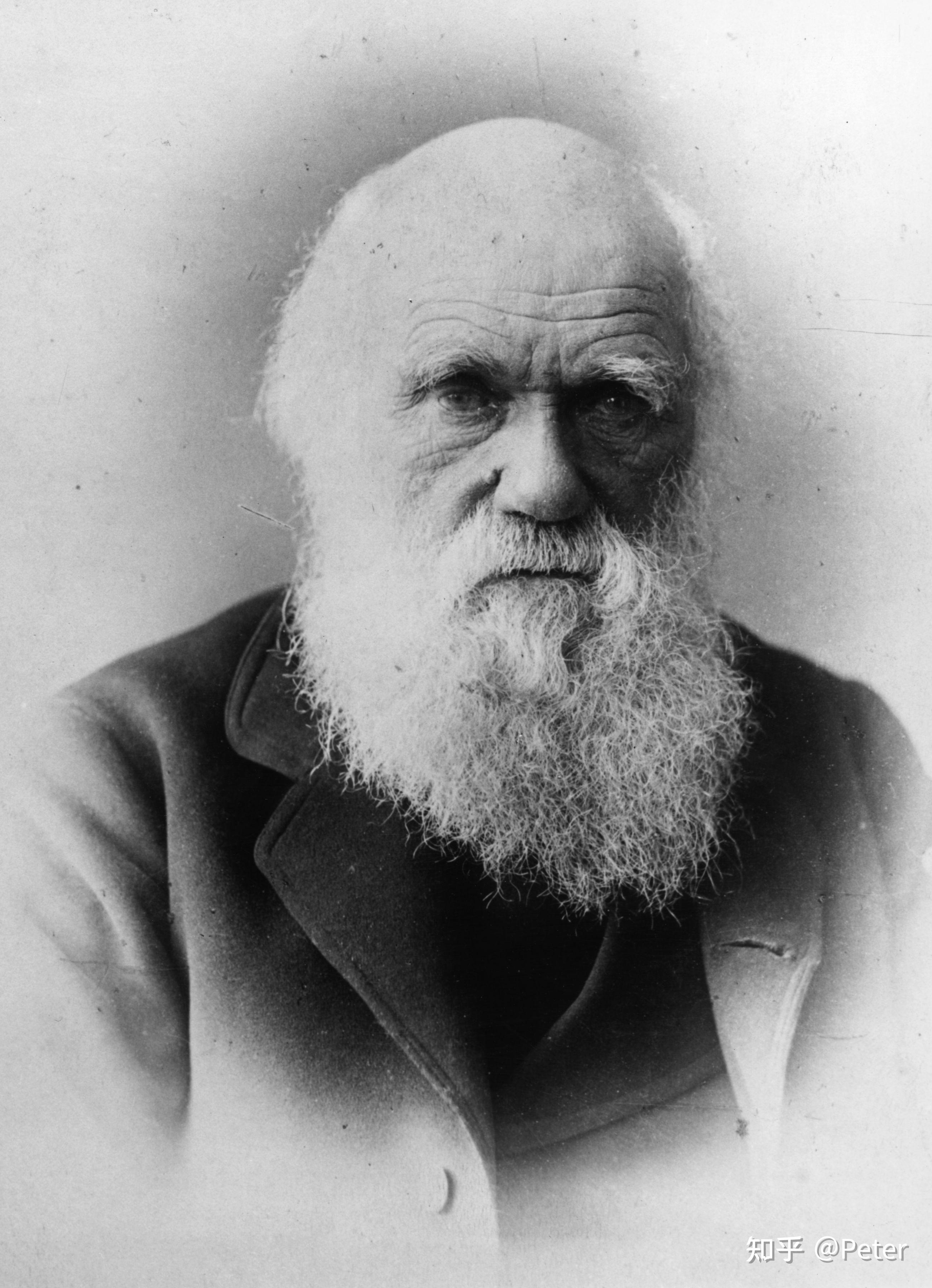charles darwin 查尔斯·达尔文无独有偶,耶克斯反驳有些人认为智商低