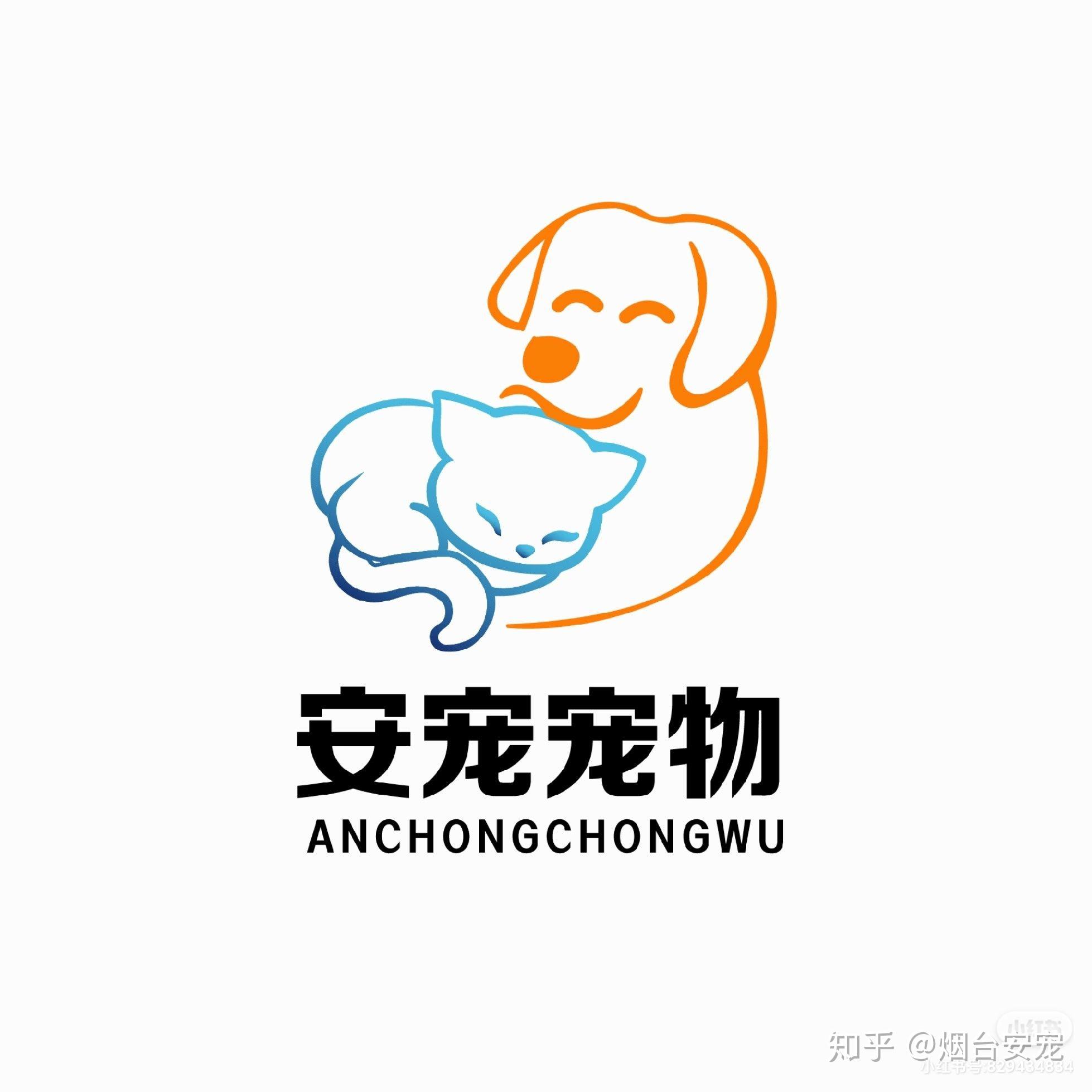 关于宠物殡葬 - 知乎