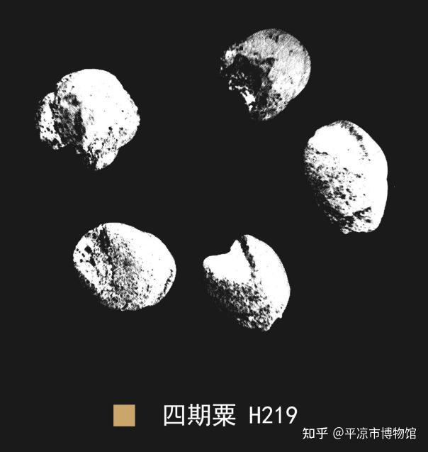 展览在线丨文明上源·大地曙光——大地湾遗址考古出土文物展(三):原始农业 - 知乎