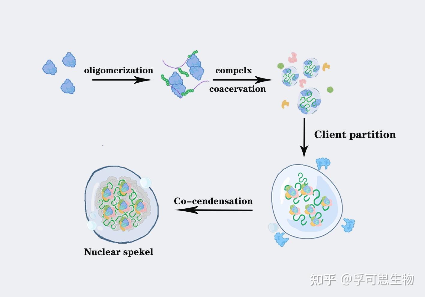 液-液相分离研究 - 知乎