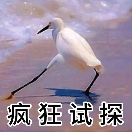 iphone12这次开了个坏头