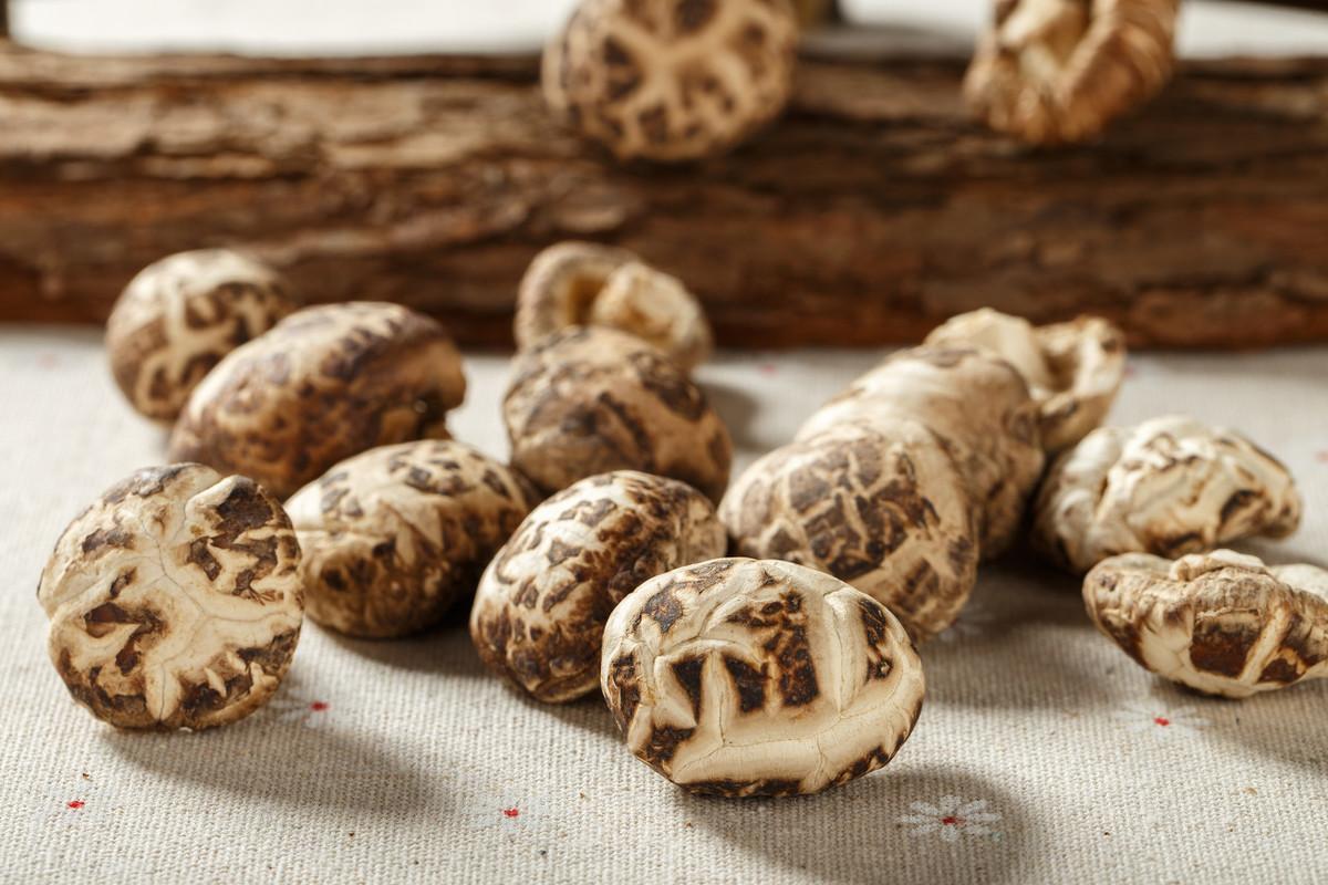 山客生活好货推荐 | 他从大山深处来:东北长白山椴木花菇二