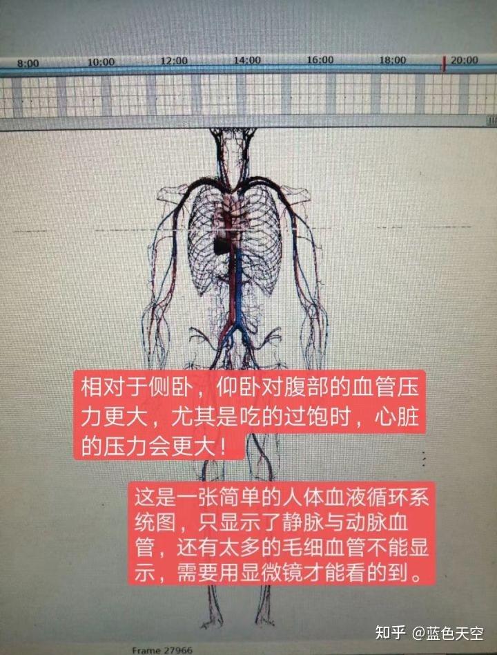 关于动物细胞吸水涨破实验的思考