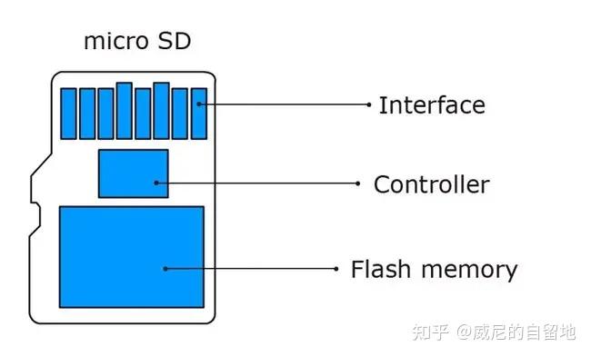 tf卡内部结构图片