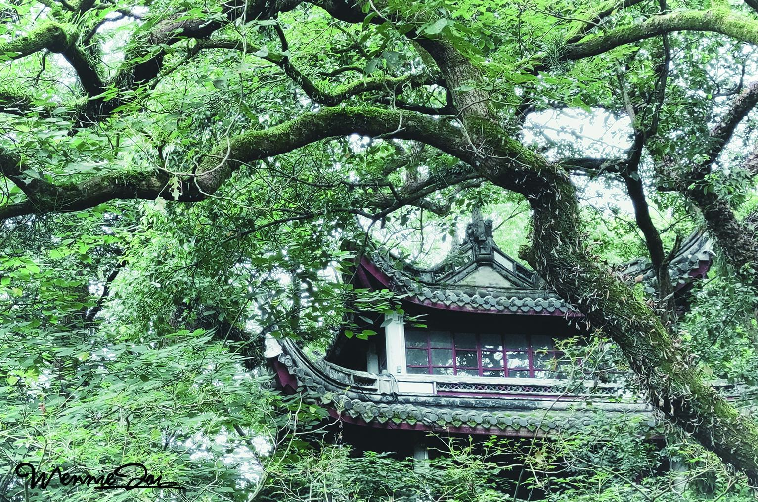 空氣裡飄著淡淡的梔子花香.