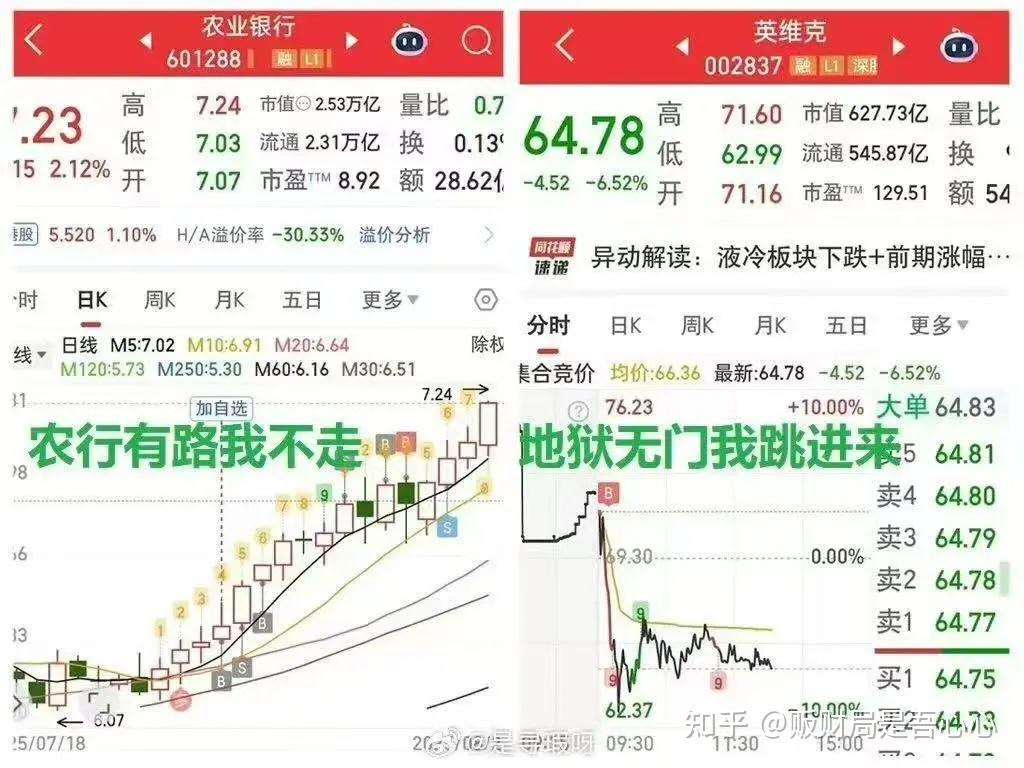 全网都在等散户进场 - 知乎