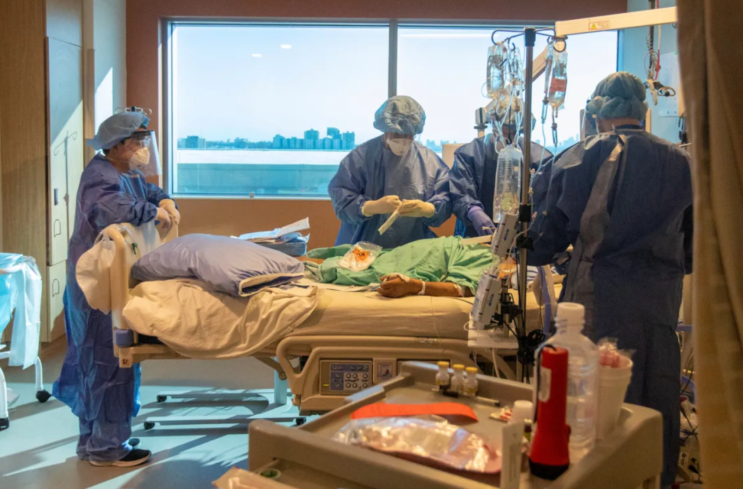 今年11月,尼亚加拉地区的新冠死亡人数已达到11人,希