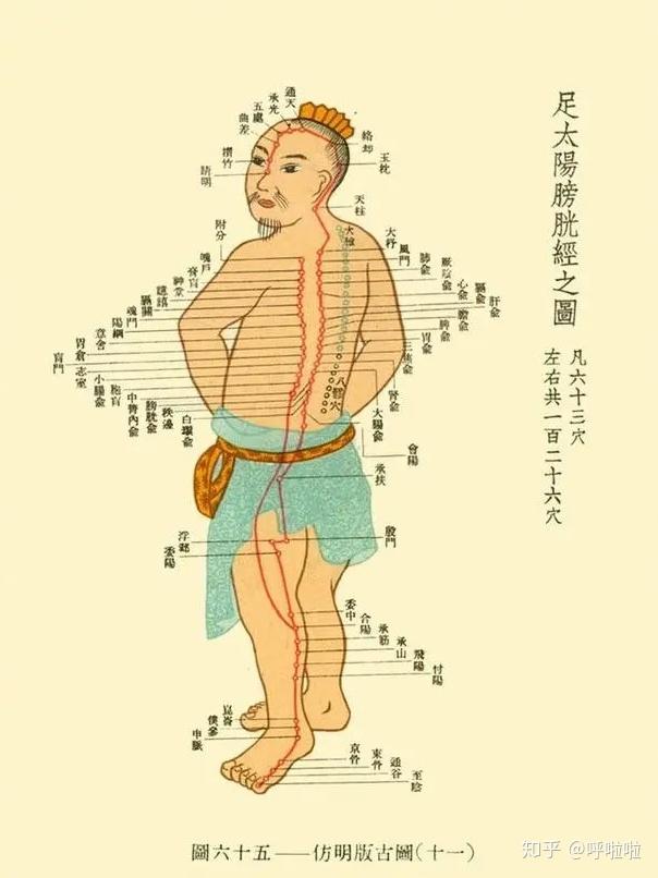 如何在身体上快速找到穴位? - 知乎