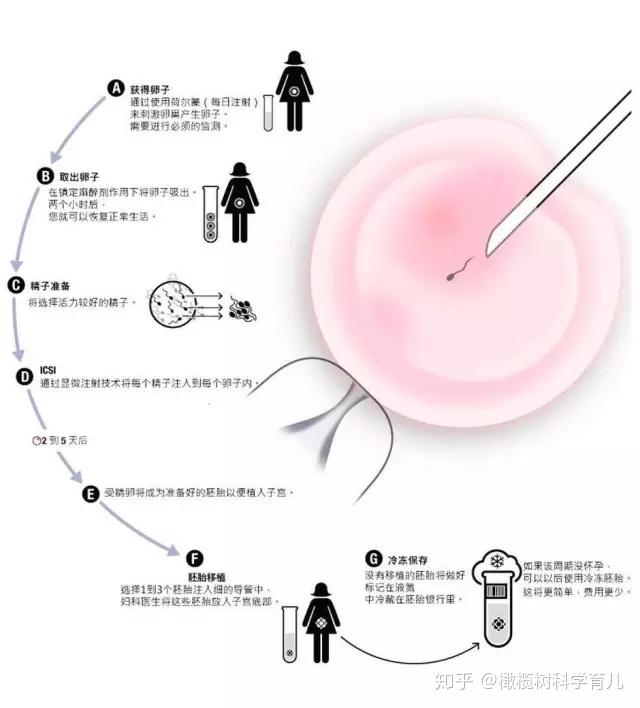 武汉供卵中介武汉市怎么预约