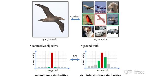 【前沿研究】跨图像相似度建模对比学习方法 (Inter-Instance Similarity Modeling for ...