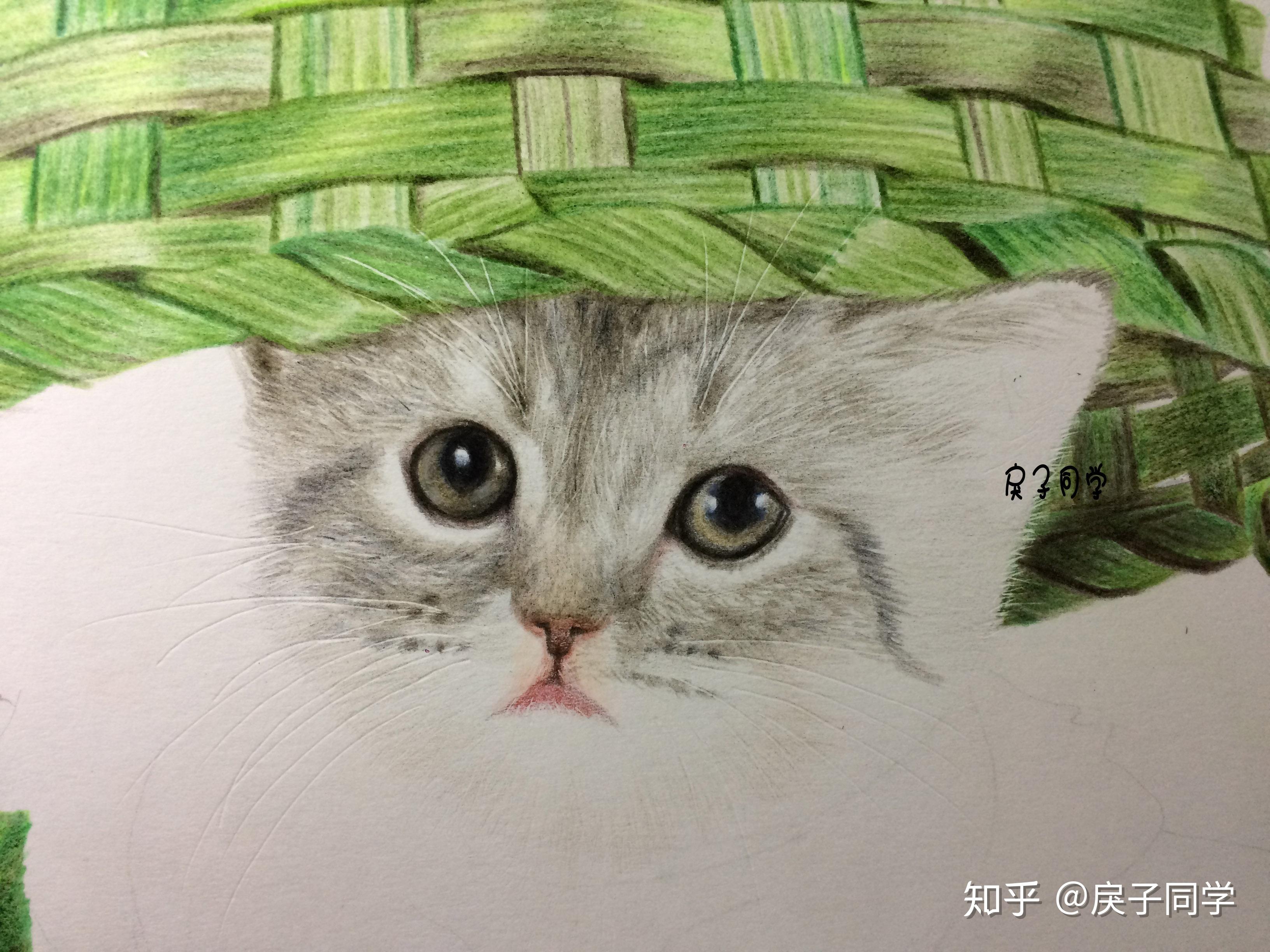 彩铅写实动物猫咪毛发绒毛技巧