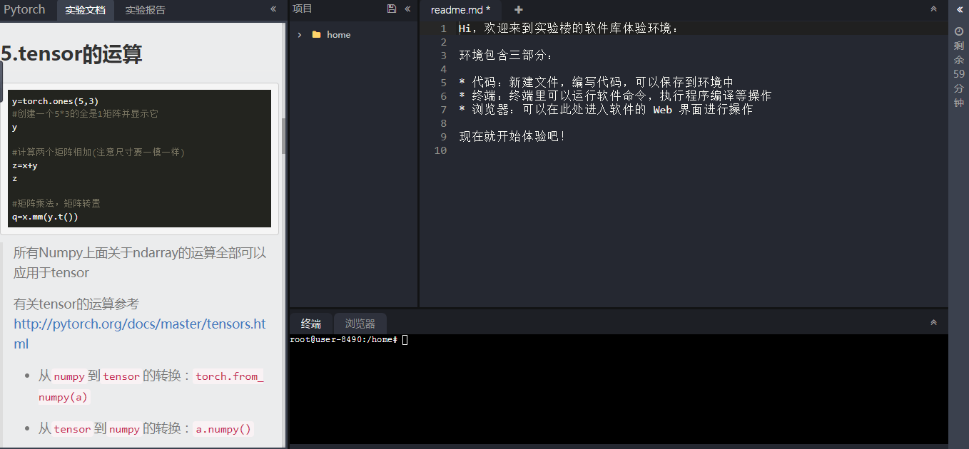 pytorch快速入门及在线体验