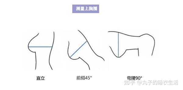 上胸圍(裸測)分別量取直立,前傾45°,彎腰90°三種姿態,軟尺繞胸部最