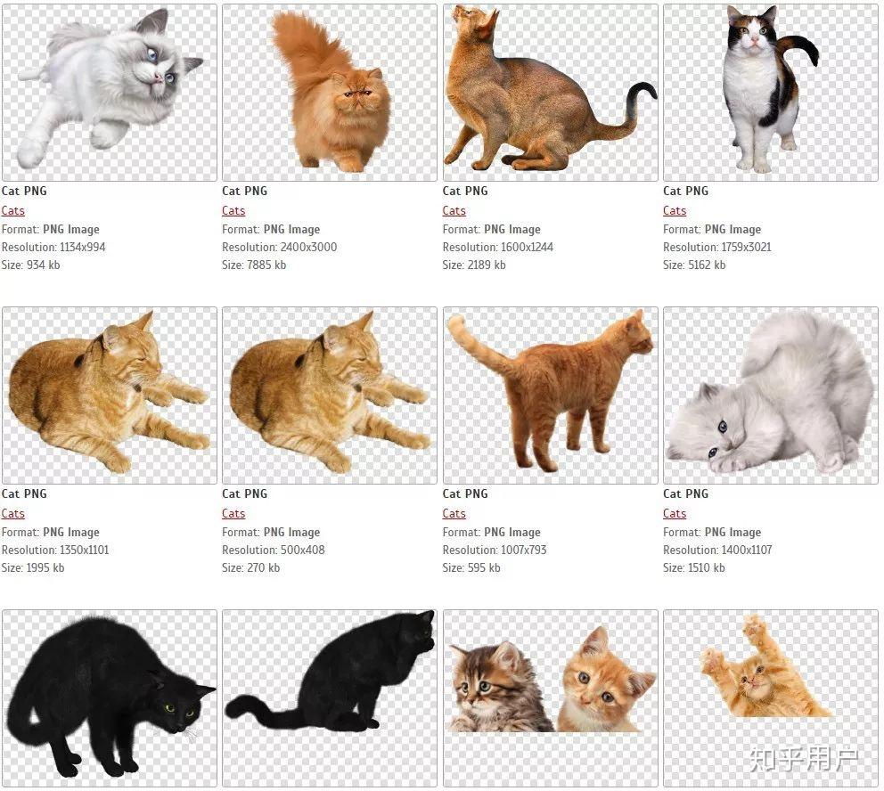 什么软件可以抠图换纯色背景?