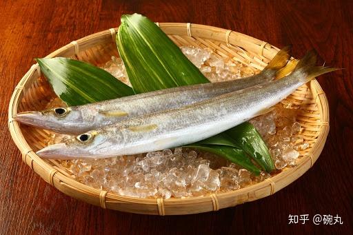 3,秋梭子魚,為什麼不讓媳婦吃?