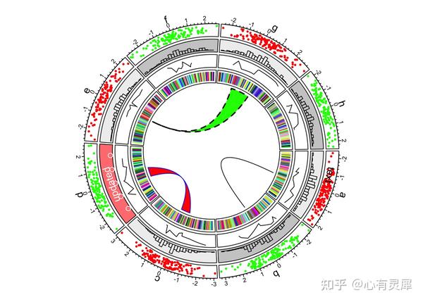 学习笔记|R包circlize（一） - 知乎