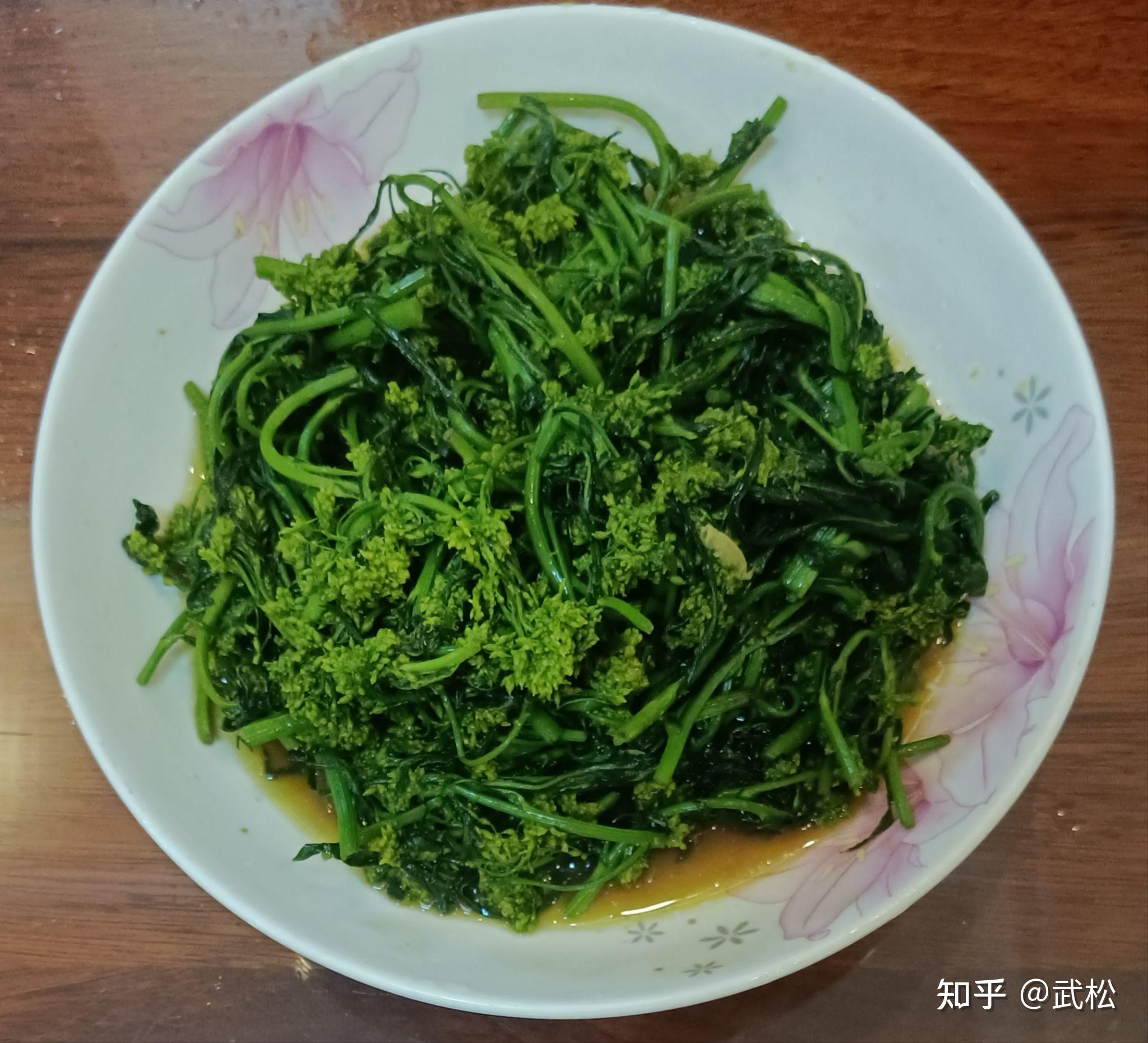 球果蔊菜图片