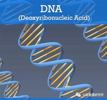 知乎专栏