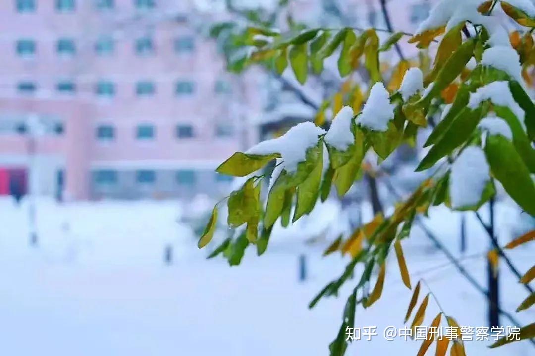 舞蹈小雨点教学教材_舞蹈教案范文小雨点_小雨点舞蹈教案总结