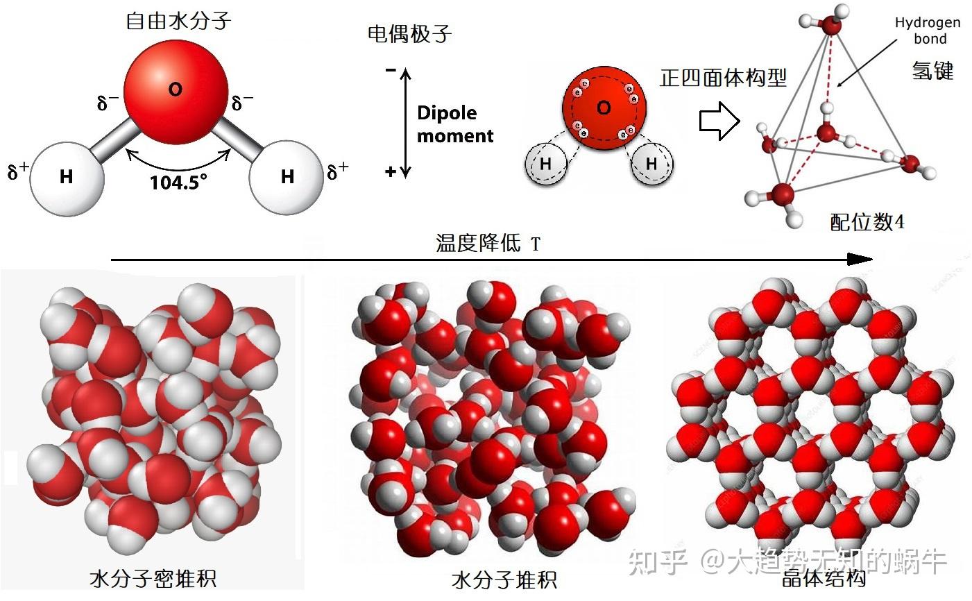 我们不知道答案的125个科学问题(46)水的微观结构 - 知乎