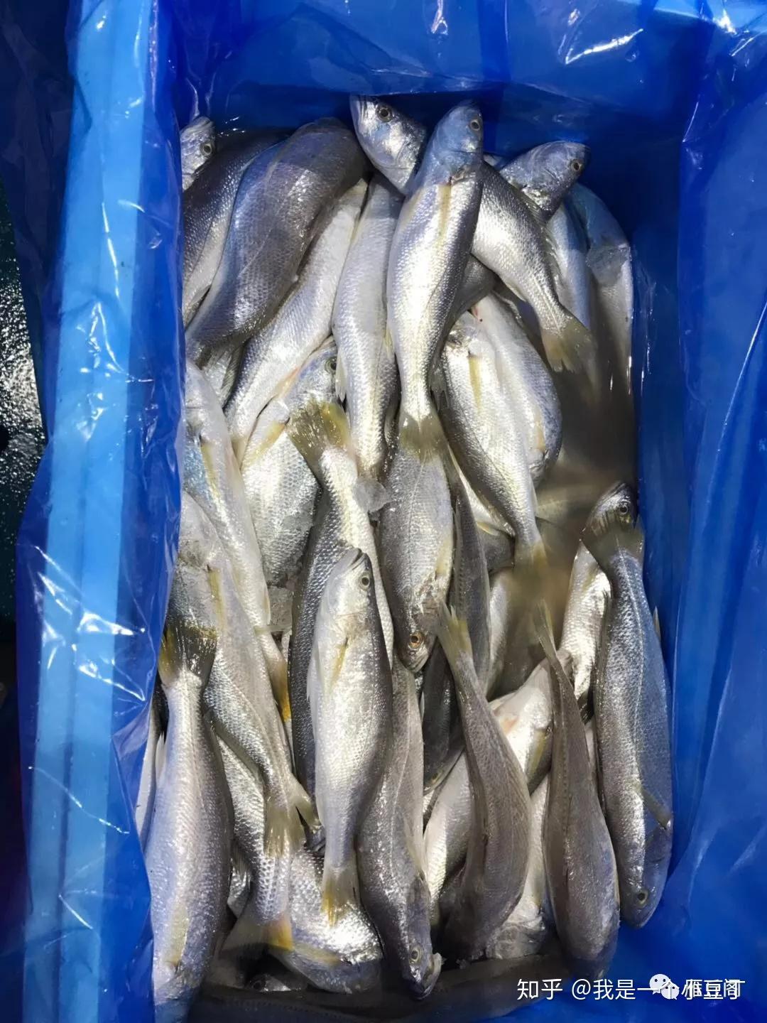 我所见过的菜市场 之曼彻斯特 - 知乎