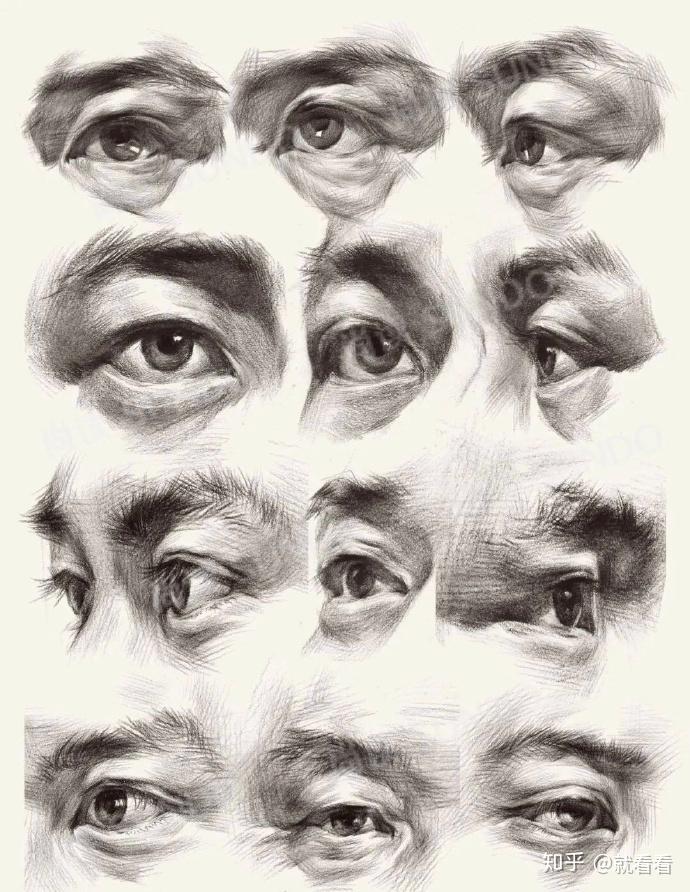 人体脸部结构分析图