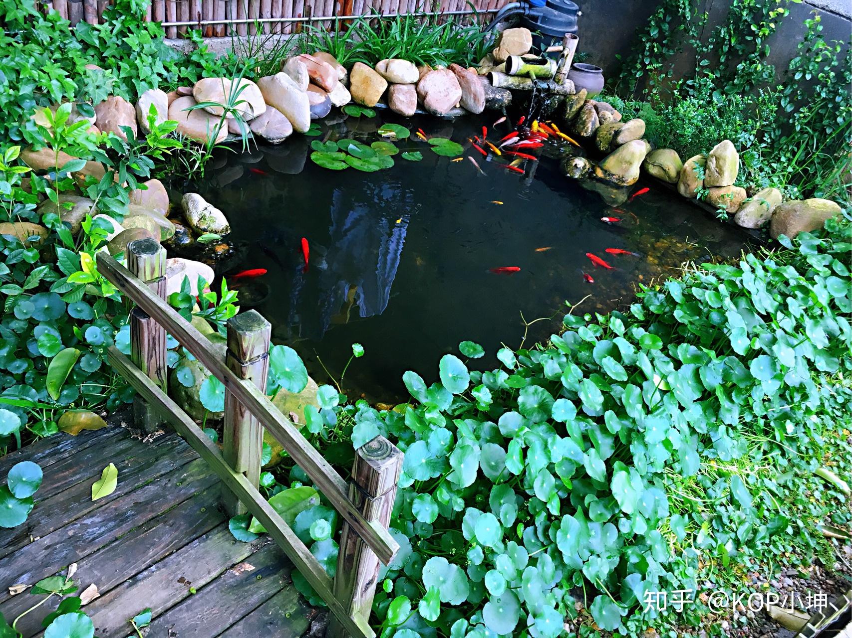 9个“花园鱼池”设计案例，网友直呼：就等有个园子来建鱼池了！_鱼缸