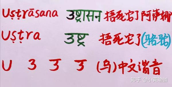 阿斯汤加二级体式梵文发音学习 骆驼式 门闩式读音 趋势网络