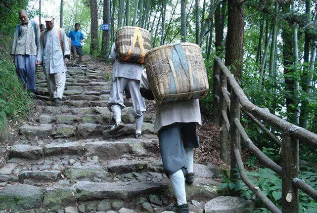 东天目山昭明寺义工图片