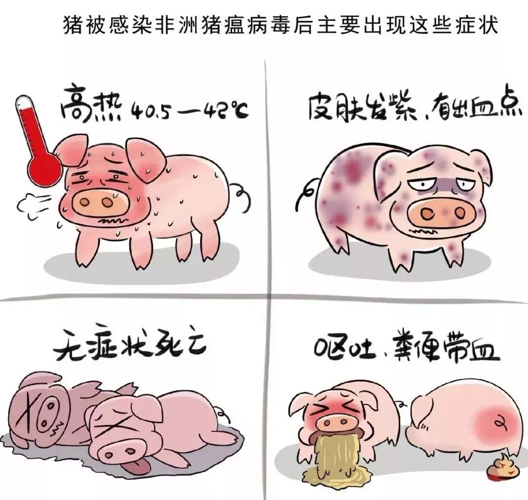 卡通可爱胖猪配食物插画图片素材_ID:419691690-Veer图库