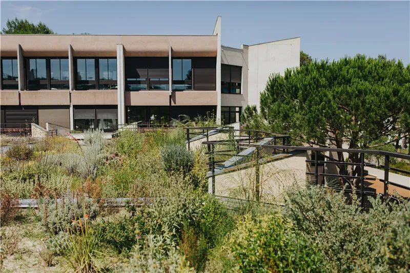 2022-2023学年SKEMA商业人工智能学院系列学术研讨活动预告 - 知乎