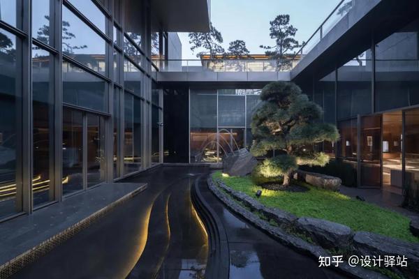 一棵树 美了一个院子 知乎