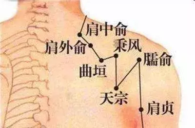 360穴定位速记歌诀!人人都该收藏! - 知乎