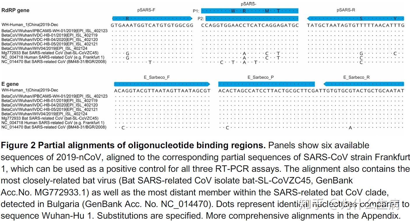 从新冠核酸检测到PCR引物探针设计5 - 知乎