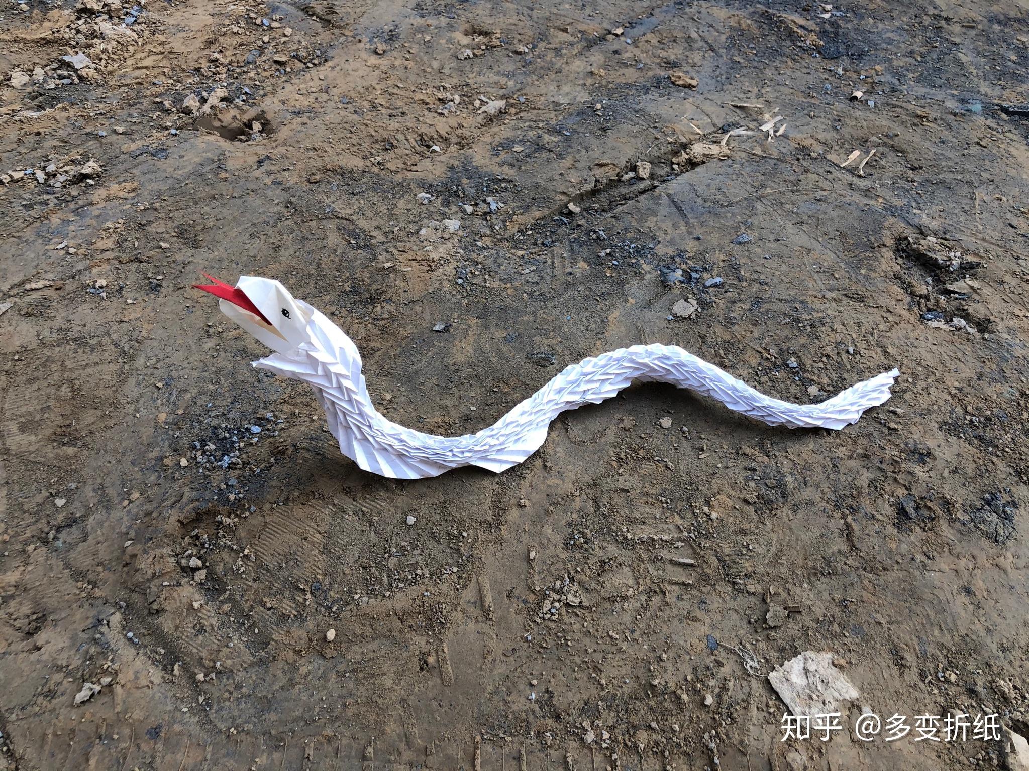 蛇腹折纸怎么折? - 知乎