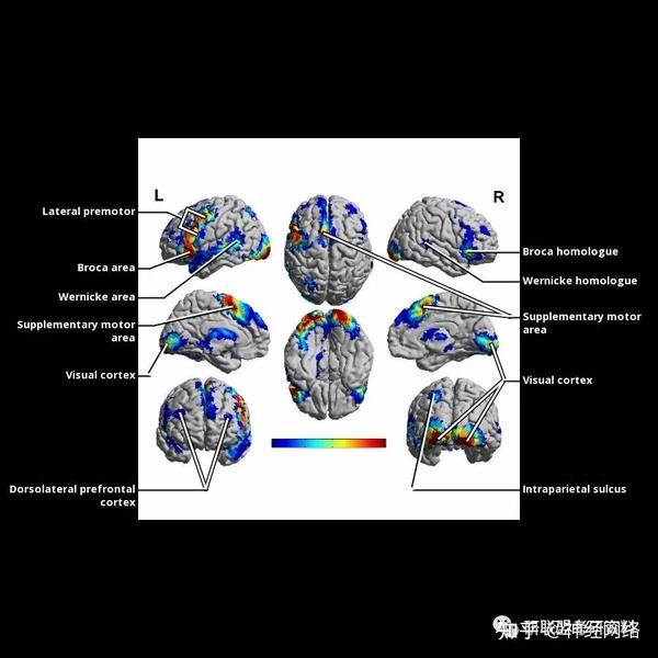 掌握网络语言：IP地址查询与域名解析教程(掌握网络语言的方法)