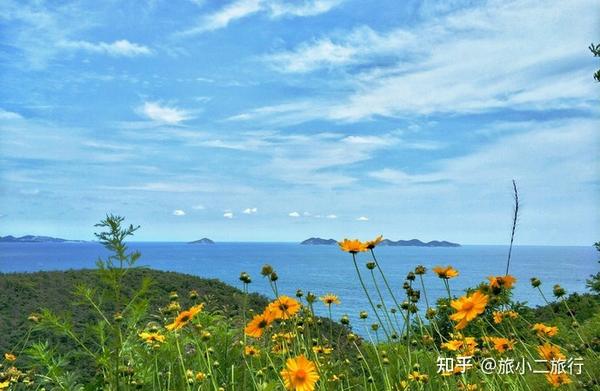 大连退潮时间表 大连赶海潮汐表 大连夏家河退潮时间表