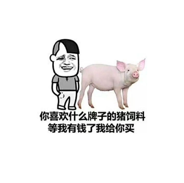 怼人