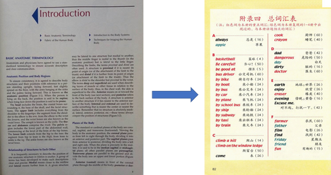 图标