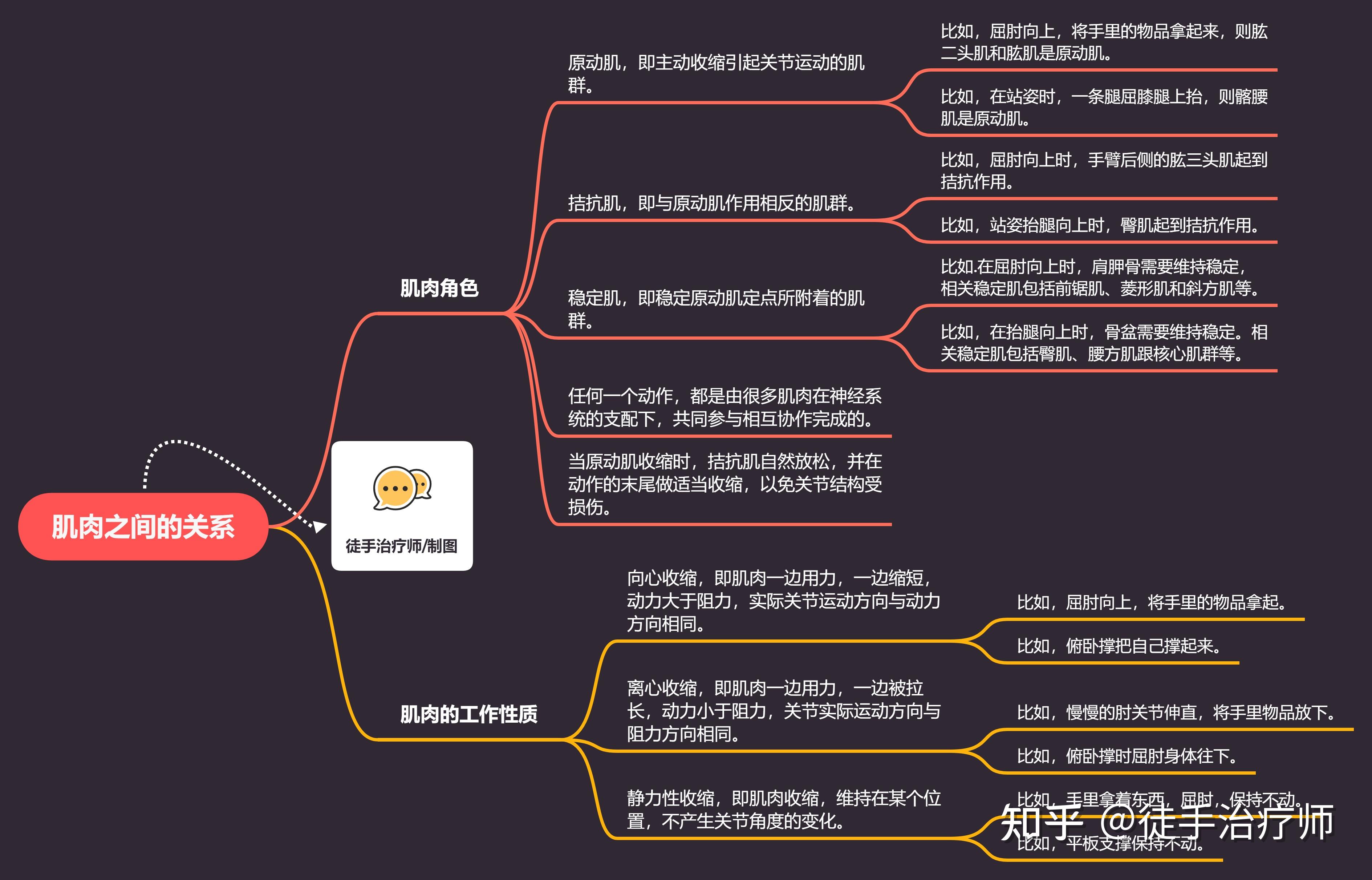 肌梭和梭内肌的关系图片