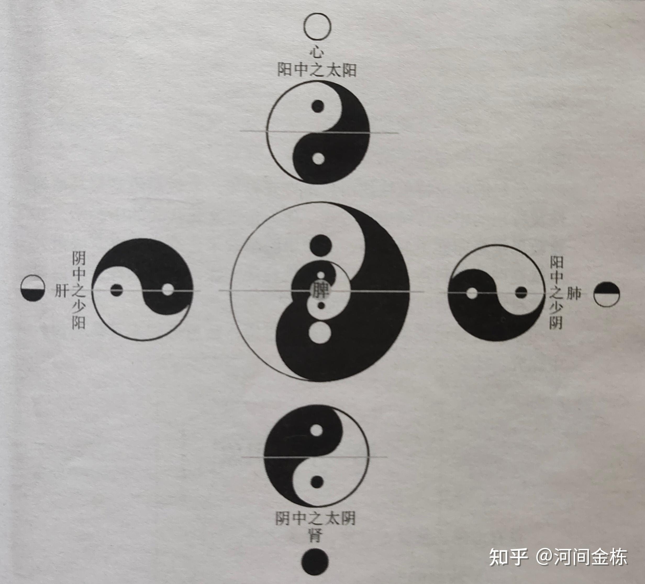 《医经正考》:人体有阴阳五行吗? - 知乎