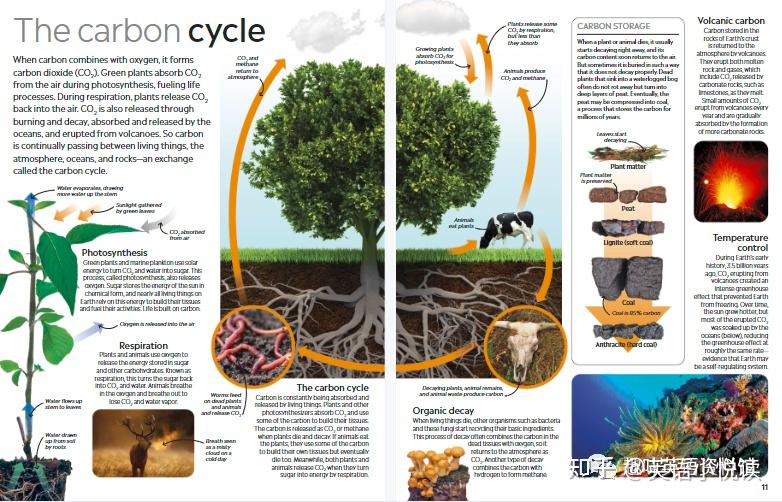 给孩子的简单易懂的气候变化指南 DK Climate Change 气候变化百科 - 知乎
