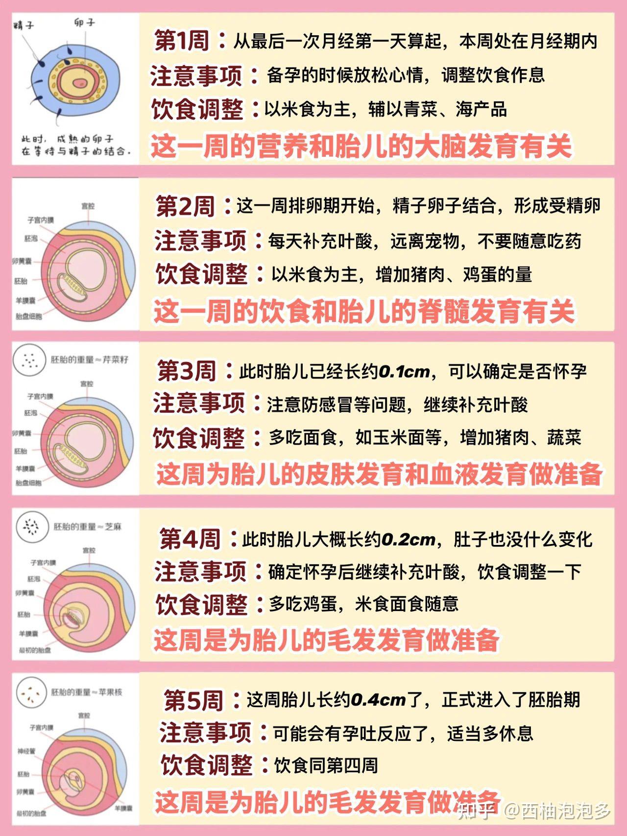 怀孕40周胎儿每周的发育变化及孕妈注意事项 - 知乎