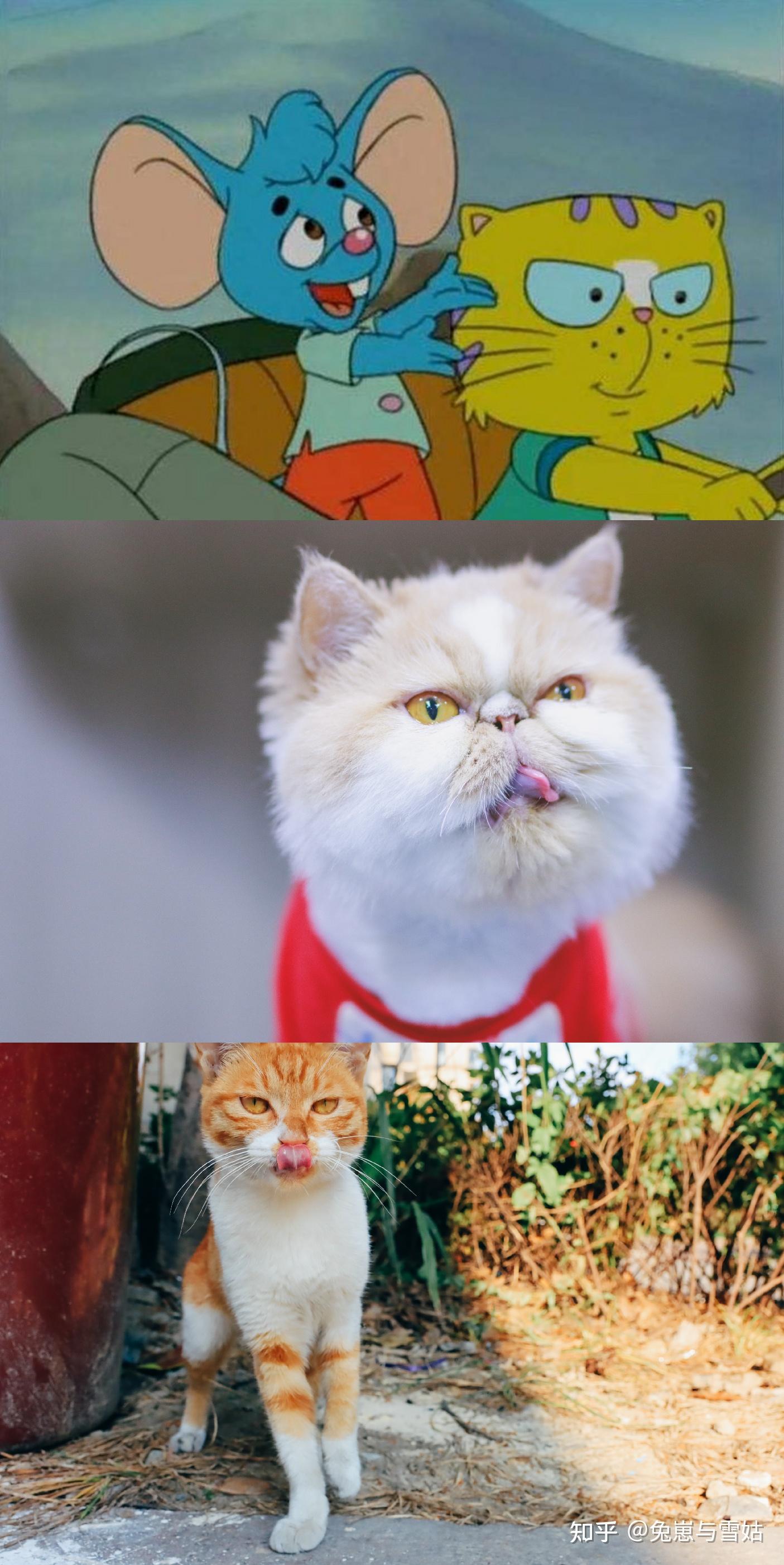 盘点那些动漫里的猫,附精美剧照! - 知乎